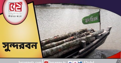 সুন্দরবনের সুন্দরী গাছ কেটে বনবিভাগের ট্রলারেই পাচার