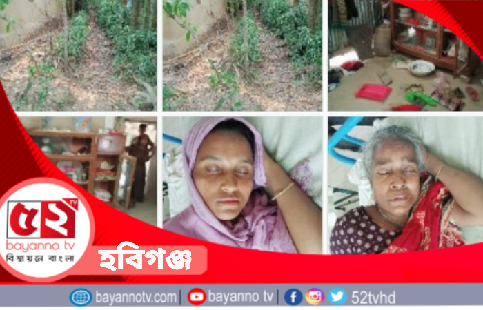 চুনারুঘাটে বিএনপি নেতার হামলায় শিশু ও নারীসহ আহত ৪