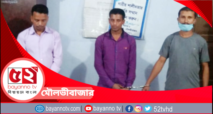 বড়লেখায় ১৯৫ পিস ইয়াবাসহ ৩ যুবক গ্রেপ্তার