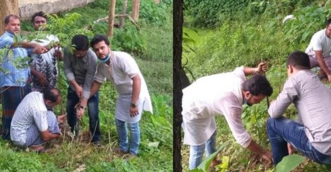 সুনামগঞ্জের ছাতকে আওয়ামী লীগের জন্মদিনে বৃক্ষরোপন