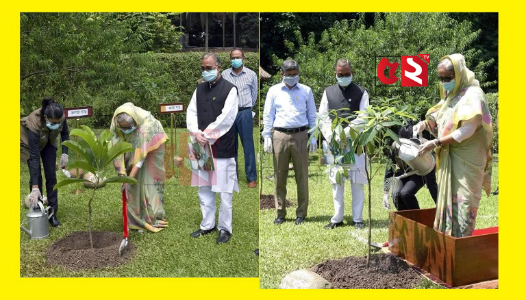এক কোটি বৃক্ষের চারা রোপণ কর্মসূচির উদ্বোধন করেছেন‌ মাননীয় প্রধানমন্ত্রী শেখ হাসিনা
