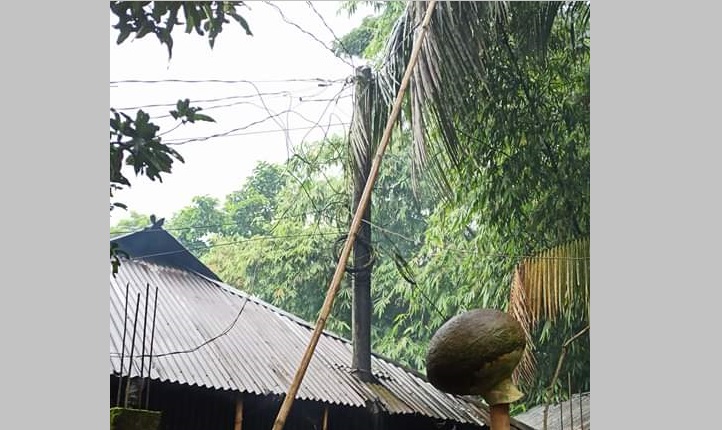 ফেনীর ঝুঁকিপূর্ণ গাছের খুঁটি বসতঘর থেকে সরানোর দাবি
