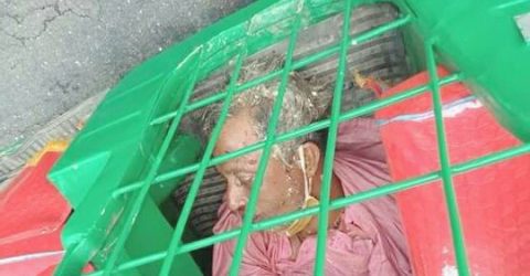 বানিয়াচংয়ে বাসের ধাক্কায়  নিহত ১ আহত ৪