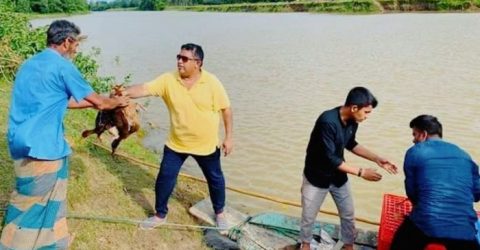 হবিগঞ্জে হাঁস ও খাদ্যসামগ্রী দিলেন উপজেলা চেয়ারম্যান মোতাচ্ছিরুল