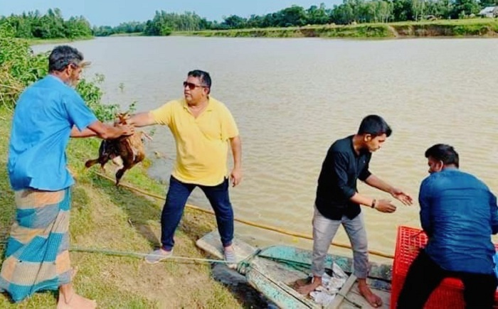 হবিগঞ্জে হাঁস ও খাদ্যসামগ্রী দিলেন উপজেলা চেয়ারম্যান মোতাচ্ছিরুল