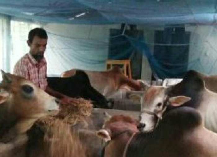 কুষ্টিয়ায় খামারিদের জন্য অনলাইন বাজার চালু করেছে জেলা প্রশাসন