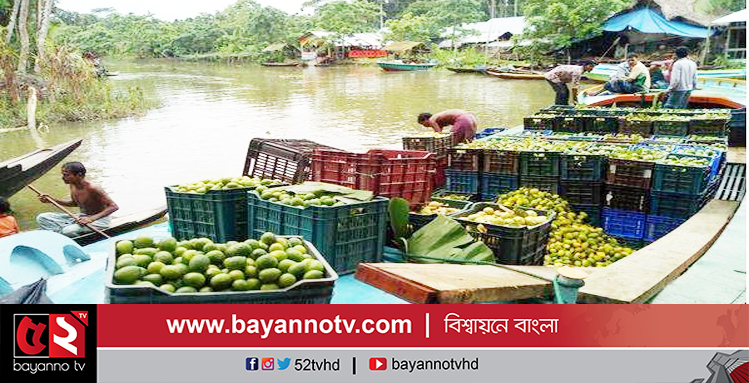 ঝালকাঠির ২২ গ্রামের লেবু চাষিরা কোটিপতি