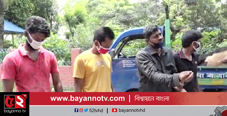 সাভারে মৃত গরু জবাই করে বিক্রি চেষ্টায় ৪ জনকে কারাদন্ড