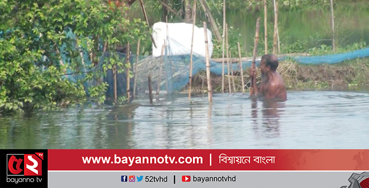 নীলফামারীতে বন্যায় ভেসে গেছে মৎস্য চাষিদের স্বপ্ন