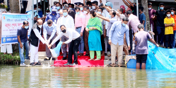 বিশ্বের আশি ভাগ ইলিশ মাছ এখন বাংলাদেশের