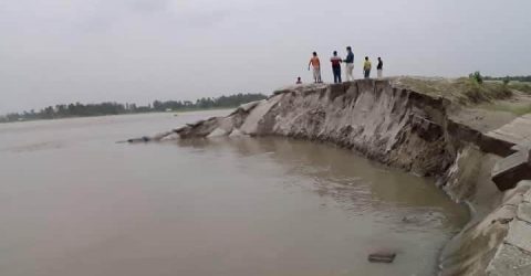 সিরাজগঞ্জে বাড়ছে নদী ভাংগন