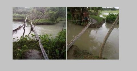 ঝালকাঠির কাঠাঁলিয়ায় দুইকিলো রাস্তায় একডজন ঝুঁকিপূর্ণ বাশেঁর সাকো, দেখার নেই কেউ !