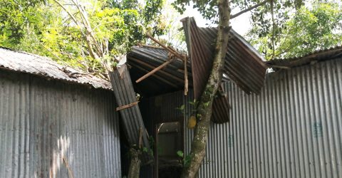টাঙ্গাইলে ১ মিনিটের ঝড়ে ক্ষতিগ্রস্থ একটি এলাকা