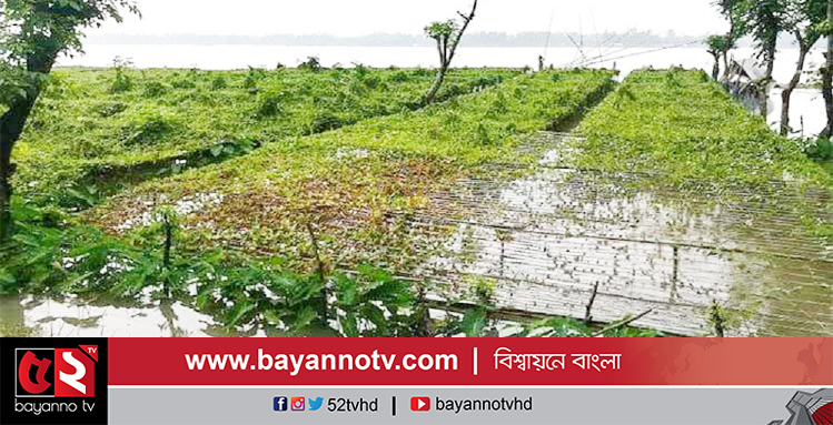 নীলফামারীতে বন্যায় ফসলহানিতে বহু কৃষক ক্ষতিগ্রস্থ