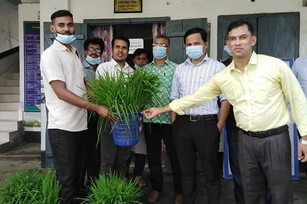 সিলেটের বালাগঞ্জে কৃষকদের মধ্যে ধানের চারা ও নগদ অর্থ বিতরণ
