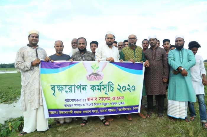 আমিরাত প্রবাসী ছালেহ আহমদের পৃষ্ঠপোষকতায় বৃক্ষরোপন