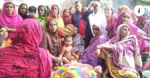 মেহেরপুরে সাপের কামড়ে গৃহবধূর মৃত্যু