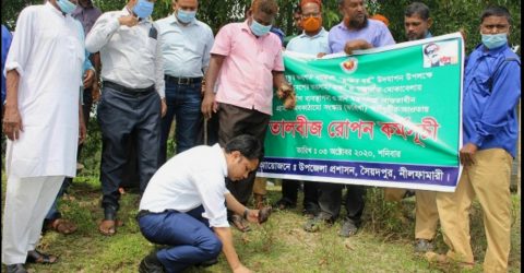 সৈয়দপুরে তাল বীজ রোপন কর্মসূচির উদ্বোধন