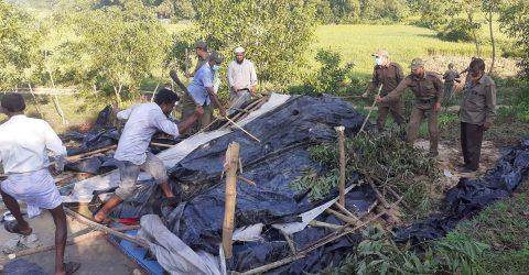 ১০ হেক্টর বনায়ন অবৈধদখল মুক্ত করলো কক্সবাজার বনবিভাগ
