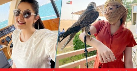 দুবাই বুর্জ আল খলিফায় টানা সাত দিন ব্যাংক চেয়ারম্যানসহ যাদের সাথে ছিলেন পরীমণি