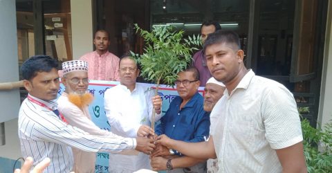 বিশ্ব পরিবেশ দিবসে সাভার সাংবাদিক কল্যান সমিতির বৃক্ষ রোপন কর্মসূচী