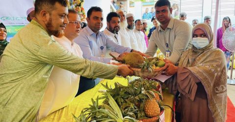 সাভারে অনুষ্ঠিত হলো ফল উৎসব