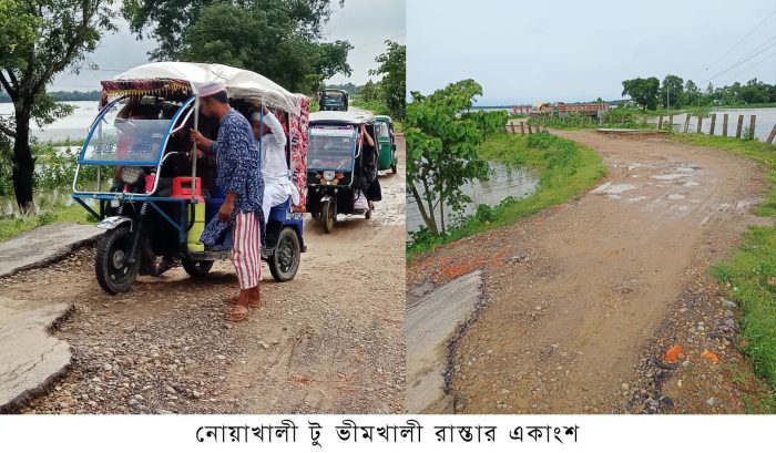 নোয়াখালী-ভীমখালী সড়কের বেহাল দশা