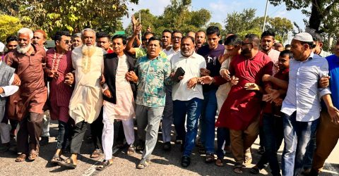 হরতালের বিরুদ্ধে শান্তিগঞ্জ আ.লীগের শান্তি সমাবেশ