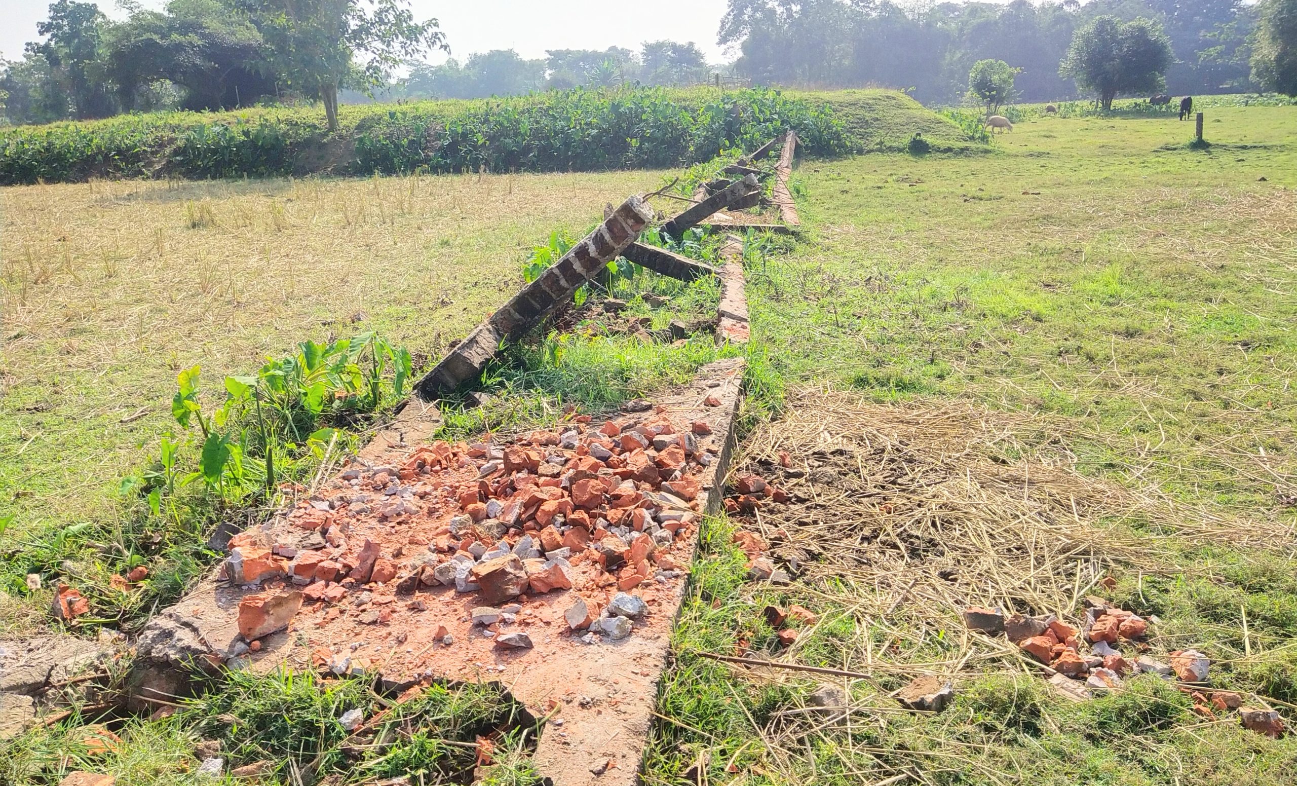 শান্তিগঞ্জে দু’পক্ষের সংঘর্ষে আহত অর্ধ শতাধিক, আটক ৮