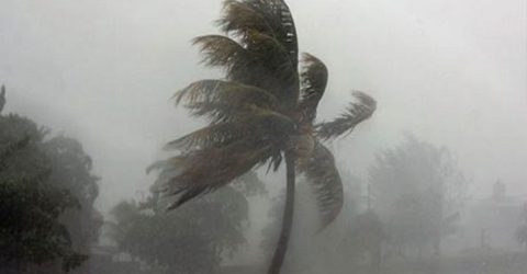 দুপুরের মধ্যে ১১ জেলায় তীব্র ঝড়ের আশঙ্কা