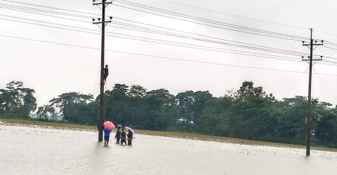 বন্যায় পল্লীবিদ্যুতের সেবায় খুশি শান্তিগঞ্জের মানুষ