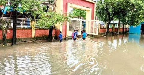 শান্তিগঞ্জে ফের বন্যা, প্লাবিত হচ্ছে রাস্তাঘাট-শিক্ষা প্রতিষ্ঠান