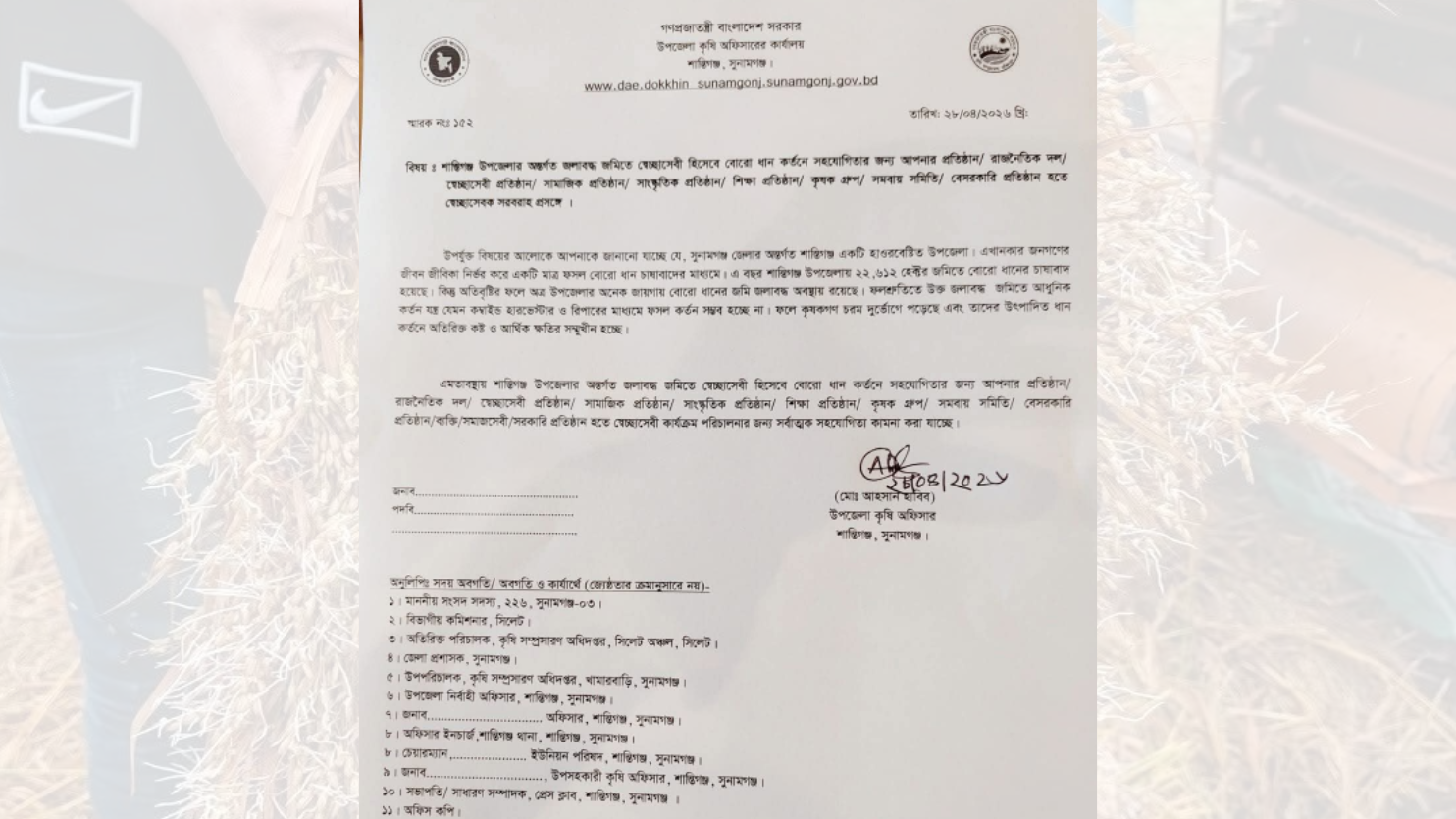 শান্তিগঞ্জে বোরো ধান কর্তনে সহায়তা চেয়েছে কৃষি অফিস