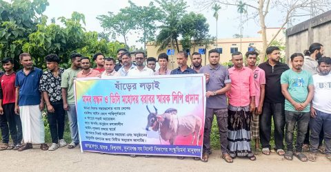ষাঁড়ের লড়াইয়ের অনুমোদন চেয়ে মানববন্ধন